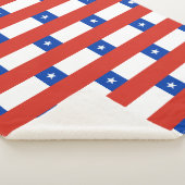 Chile Sherpadecke (3/4)