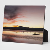 Chilean Flamingo Fotoplatte (Seite)