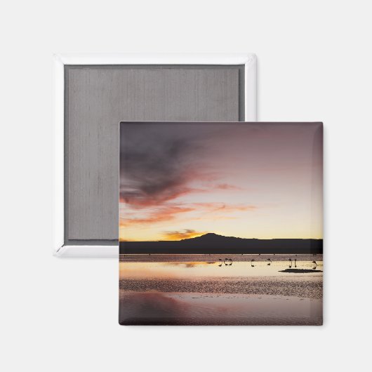 Chilean Flamingo Magnet (Vorderseite/Rückseite)