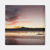 Chilean Flamingo Magnet (Vorne)