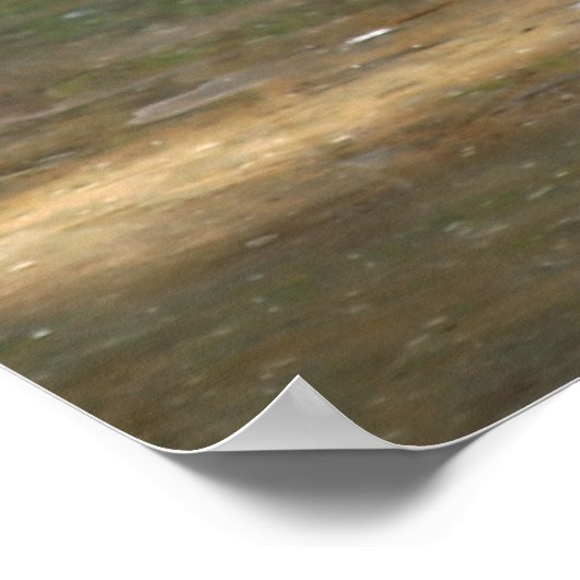 Chilean Flamingo Poster (Ecke)