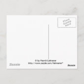 Chilean Flamingo Postkarte (Rückseite)