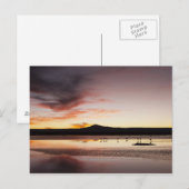 Chilean Flamingo Postkarte (Vorne/Hinten)
