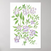 Chilean potato tree cushion poster (Vorne)