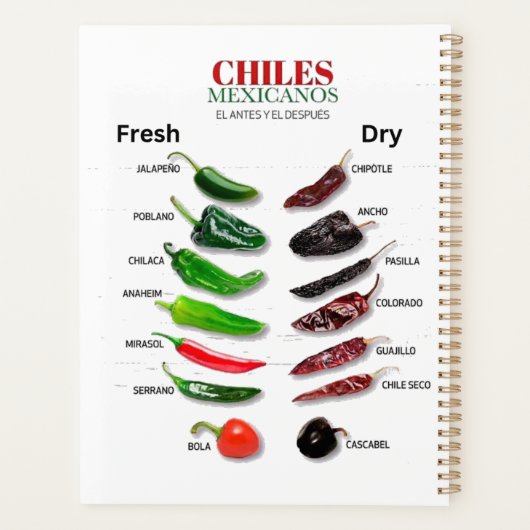 Chilen Frisch und trocken Thunder_Cove Planer (Rückseite)