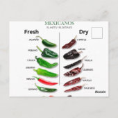 Chilen Frisch und trocken Thunder_Cove Postkarte (Rückseite)