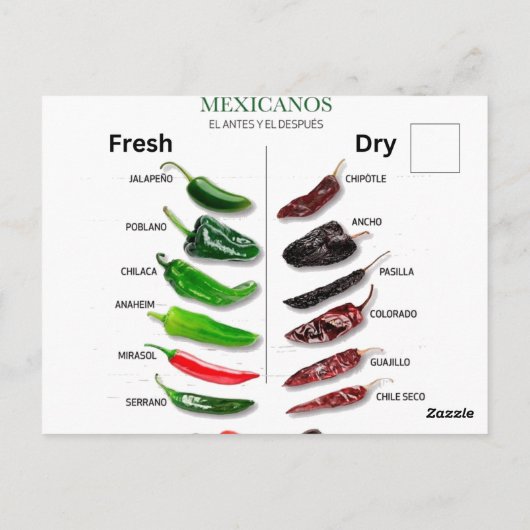 Chilen Frisch und trocken Thunder_Cove Postkarte (Rückseite)