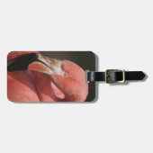 Chilenische Flamingo, Phoenicopterus chilensis Gepäckanhänger (Vorderseite horizontal)