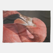 Chilenische Flamingo, Phoenicopterus chilensis Handtuch (Horizontal)