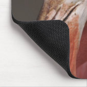 Chilenische Flamingo, Phoenicopterus chilensis Mousepad (Ecke)