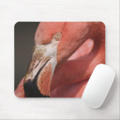 Chilenische Flamingo, Phoenicopterus chilensis Mousepad (Mit Mouse)