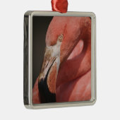 Chilenische Flamingo, Phoenicopterus chilensis Ornament Aus Metall (Rechts)