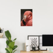 Chilenische Flamingo, Phoenicopterus chilensis Poster (Heimbüro)