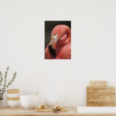 Chilenische Flamingo, Phoenicopterus chilensis Poster (Küche)