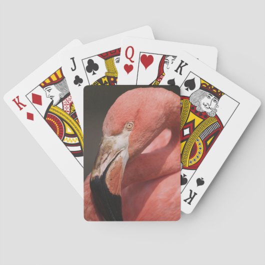 Chilenische Flamingo, Phoenicopterus chilensis Spielkarten (Rückseite)