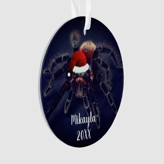 Chilenische Rose Haar Tarantula in Weihnachtsmann Ornament (Vorderseite)