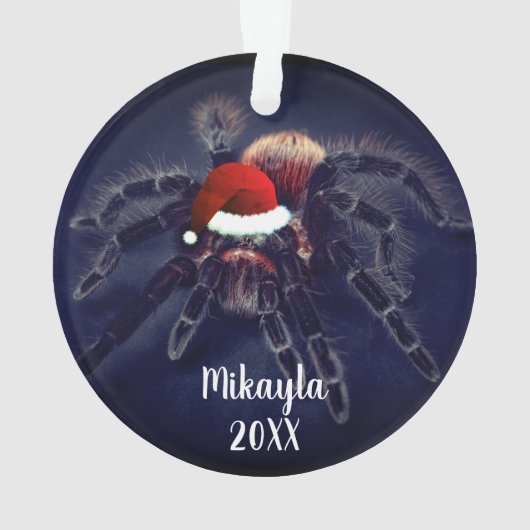 Chilenische Rose Haar Tarantula in Weihnachtsmann Ornament (Rückseite)