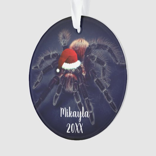 Chilenische Rose Haar Tarantula in Weihnachtsmann Ornament (Vorderseite)