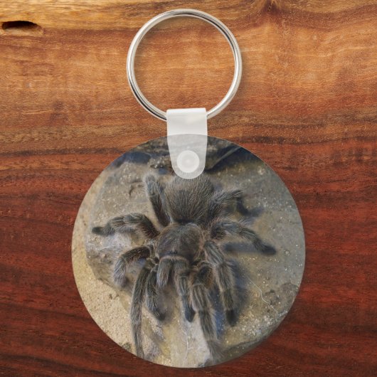 Chilenische Rose Hair Tarantula Schlüsselanhänger (Vorderseite)