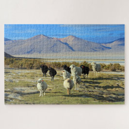 Chilenische Schafe 1014-pc Puzzle