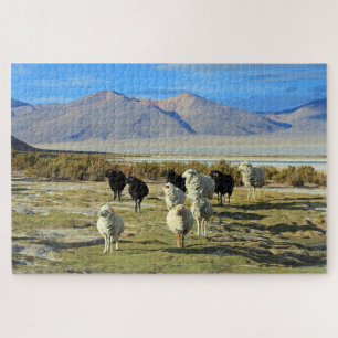 Chilenische Schafe 1014-pc Puzzle