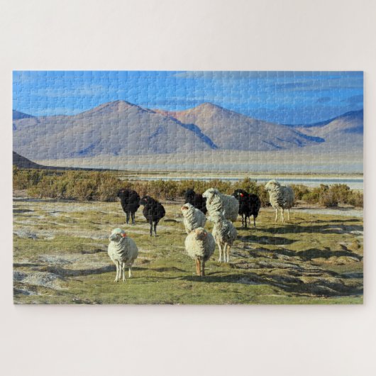 Chilenische Schafe 1014-pc Puzzle (Horizontal)