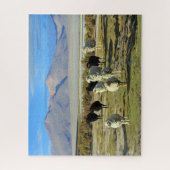 Chilenische Schafe 520-pc Puzzle (Vertikal)