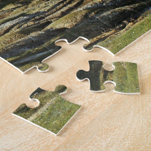 Chilenische Schafe 520-pc Puzzle (Seite)