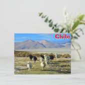 chilenische Schafkarte (Stehend Vorderseite)