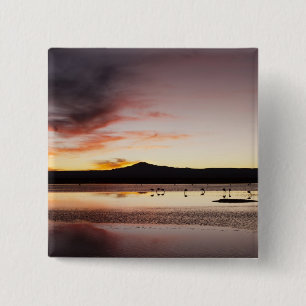 Chilenischer Flamingo Button