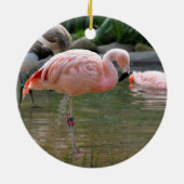 Chilenischer Flamingo Keramikornament (Hinten)