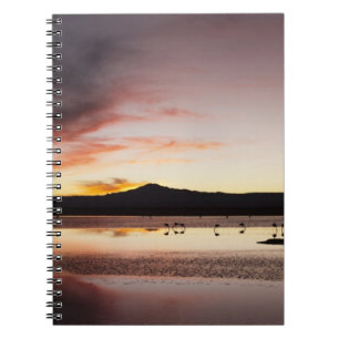 Chilenischer Flamingo Notizblock