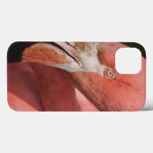 Chilenischer Flamingo, Phoenicopterus chilensis Case-Mate iPhone Hülle (Rückseite (Horizontal))