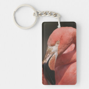 Chilenischer Flamingo, Phoenicopterus chilensis Schlüsselanhänger
