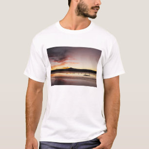 Chilenischer Flamingo T-Shirt
