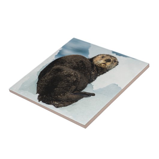 Chilenischer Otter Fliese (Seite)