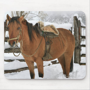 Chilenisches Pferd ausgestattet mit traditionellem Mousepad