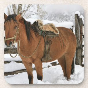 Chilenisches Pferd ausgestattet mit traditionellem Untersetzer