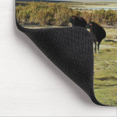 chilenisches Schaf Mousepad (Ecke)