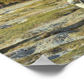 chilenisches Schaf Poster (Ecke)