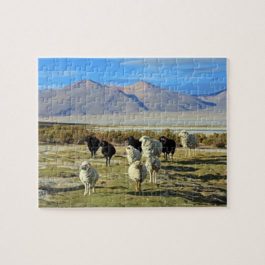 chilenisches Schaf Puzzle (Horizontal)