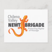 Chileno Valley Newt Brigade Postkarte (Vorderseite)