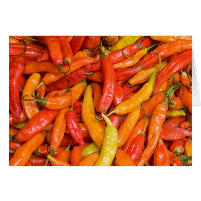 Chili (Vorderseite (Horizontal))