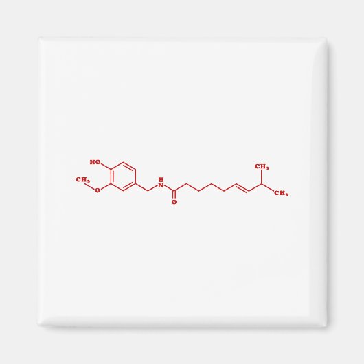 Chili Capsaicin Molekulare Chemische Formel Magnet (Vorne)