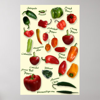 Chili ID Poster
