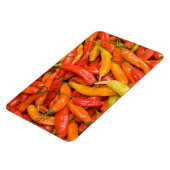 Chili Magnet (Linke Seite)