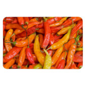 Chili Magnet (Horizontal)