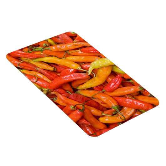 Chili Magnet (Rechte Seite)