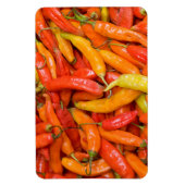 Chili Magnet (Vertikal)