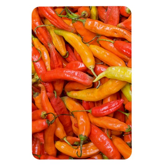 Chili Magnet (Vertikal)